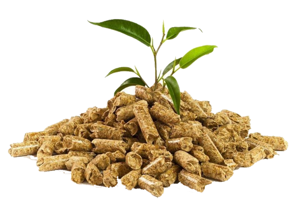 真人游戏(官方)最新IOS/安卓版/手机版APP下载